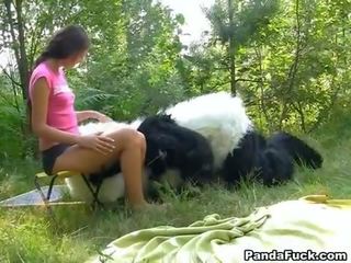 Xxx movie in the woods with a huge toy panda